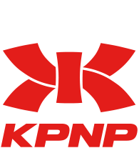 WT KP&P Electronic Socks